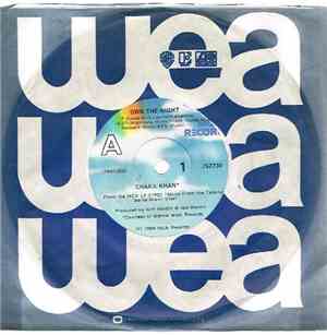 Chaka Khan - Own The Night