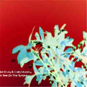 Ed Drury & Craig Murphy - A Tree On The Tundra