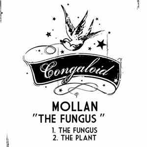 Mollan - The Fungus
