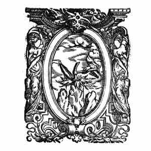 Voidcraeft - With Neither Idols Nor Ideals