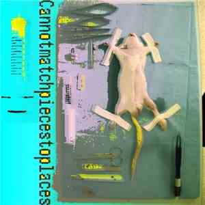 CMP2P - Cannotmatchpiecestoplaces (4 Track Demo)