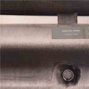 Eagle-Eye Cherry - Permanent Tears