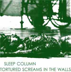 Sleep Column / Tortured Screams In The Walls - Split