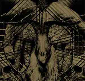 The Eyes  - Insignis