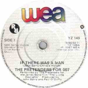 The Pretenders - If There Was A Man