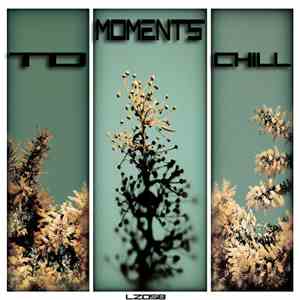Sascha Müller - Moments To Chill