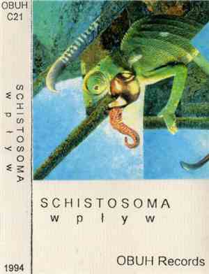 Schistosoma - Wpływ
