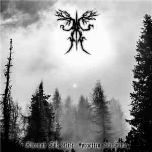 Ancient Boreal Forest - Through The Mist Forgotten By Time