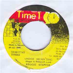 Reggie Stepper - Under Mi Sin Ting