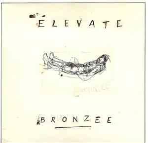 Elevate  - Bronzee
