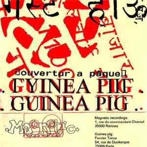 Guinea Pig  - Ouverture A Pâque