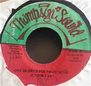 Junior Cat / Pinchers - One Hundred Pound Of Sensi / Sensimina