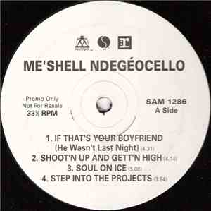 Me'Shell NdegéOcello - Me'Shell NdegéOcello