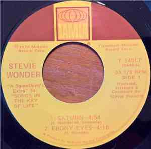 Stevie Wonder - 