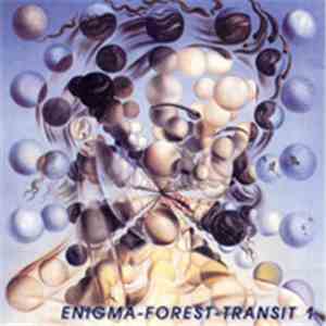 Enigma / Various - Forest-Transit 1