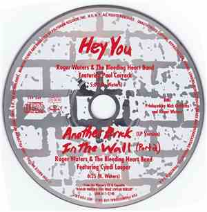 Roger Waters - Hey You / Another Brick In The Wall (Part 2) (LP Version)