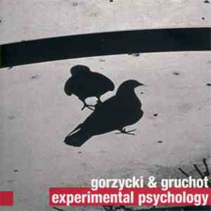 Rafał Gorzycki, Sebastian Gruchot - Experimental Psychology