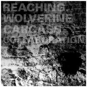 Reaching. / Wolverine Carcass - Collaboration