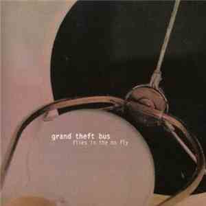 Grand Theft Bus - Flies In The No Fly