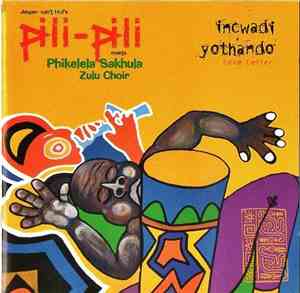 Jasper Van't Hof 's Pili-Pili Meets Phikelela Sakhula Zulu Choir - Incwadi Yothando (Love Letter)