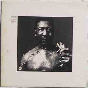 Muddy Waters - After The Rain