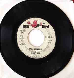 Andy Kim - I Hear You Say (I Love You Baby)