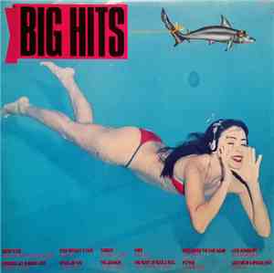 Various - Big HIts 3