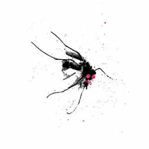 Grackle - Jungle