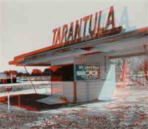Tarántula - Tarántula