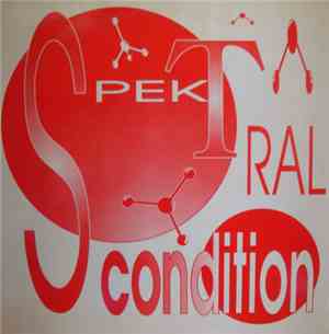 Spektral Condition - Cat Four