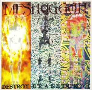 Meshuggah - Destroy Erase Improve
