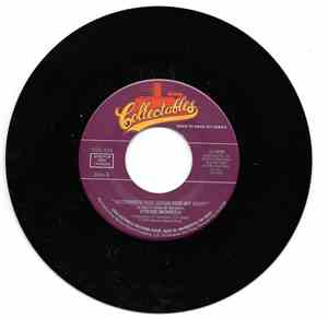 Stevie Wonder - NOTHINGS TOO GOOD FOR MY BABY