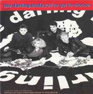The Darling Buds - You've Got To Choose