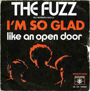 The Fuzz  - i'm so glad