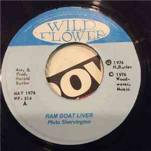 Pluto - Ram Goat Liver