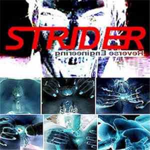 Strider - Reverse Engineering
