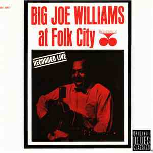 Big Joe Williams - At Folk City