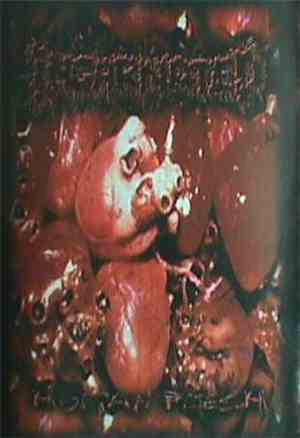 Incarnated - Human Flesh