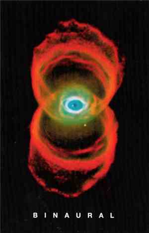 Pearl Jam - Binaural