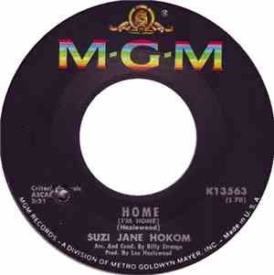 Suzi Jane Hokom - Need All The Help I Can Get