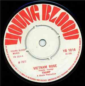Tramp  - Vietnam Rose / Each Day