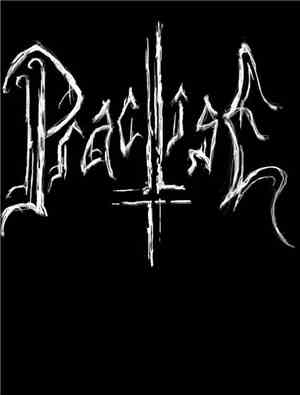 PractisE - There's No Way LP