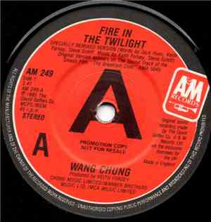 Wang Chung - Fire In The Twilight / The Reggae
