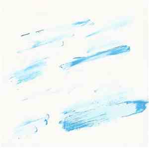 Forestflies - Structure/Chaos
