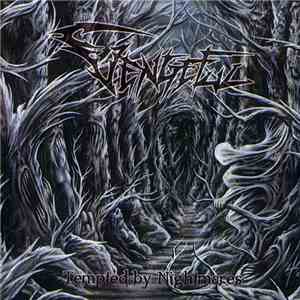 Vengeful - Tempted By Nightmares
