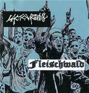 Lactovaginal / Fleischwald  - Lactovaginal / Fleischwald