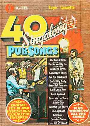 Unknown Artist - 40 Singalong Pub Songs