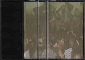 Altar Image / The Inverted Orange - Split