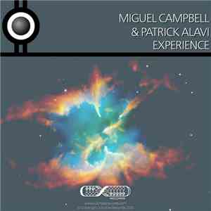 Miguel Campbell & Patrick Alavi - Experience