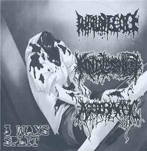 Intrudecock / Kindlessness / Asstraffic - 3 Ways Split